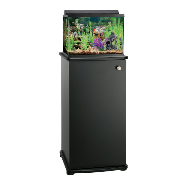 10 Gallon Aquarium Stand Wayfair